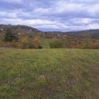 Nab�z�me k prodeji zahradu v Sivic�ch u Brna