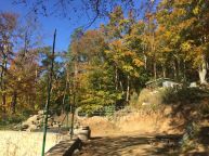 Jedinen stavebn pozemek 1366m2 s  s chatou, projektem a vlastnm lesem id. 1/2 10441m2 v obci Babice u ehenic na hranici Prahy - vchod