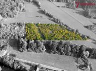 Prodej, Sady a vinice, Koroun 10342 m2