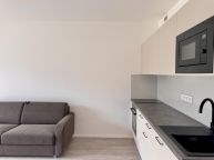 Pronjem bytu 1kk, 40m2, Praha 3, ikov
