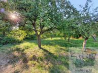 Prodej pozemku u eky Plounice. Romantick pozemek v klidn sti Strunice u esk Lpy