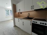 Podnjem bytu 1+kk ve velmi lukrativn sti Orlov