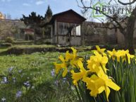 Prodej chatky v ��dan� lokalit� O�echovka v Praze 6.