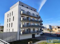 Pronjem bytu 1+kk v Pelhimov.