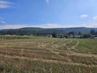 Exklusivn� prodej lukrativn�ho pozemku v centru obce, 6873m2, Lety u Dob�ichovic