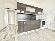 Podnjem bytu 2+1 s balkonem, ul. Hrabinsk, esk Tn