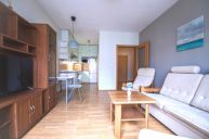 Pron�jem za��zen�ho bytu 2+kk s balkonem, 52 m2,