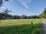 Prodej, zem�d�lsk� p�da, 25.075 m2 Mist�ovice