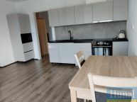 Pron�jem bytu 1+kk v Pelh�imov�.