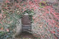 Prodej zd�n�ho sklepa (chatky) v zahr�dk��sk� osad� v Praze 5 Motole