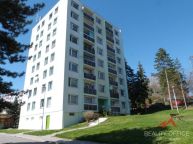 Byt 3+1 s lod�i� na klidn�m m�st� v D���n� VI - �elenic�ch