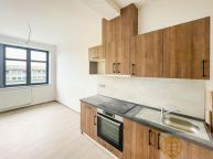 Pron�jem bytu 1+1 K v T�bo�e, ulice Kpt. Jaro�e