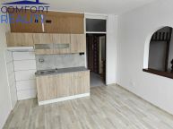 Pron�jem bytu 1+1, Ostrava, Hrab�vka, ul. Krestova