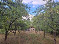 Pron�jem, Pozemky - zahrady, 2508 m2 - Sme�no