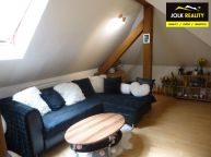 Pron�jem 1+kk v ��dan� lokalit� opavsk�ho p�edm�st�