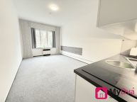 PRAHA - SM�CHOV, Pron�jem bytu 1+kk 30 m2
