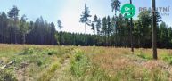 Lesn� pozemek - Domamy�l.