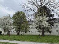 Prodej bytu 2+1, 81m2, Jubilejn� kolonie, Ostrava