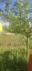 Prodej stavebn�ho pozemku na �adov� RD v obci Vini�n� �umice