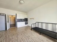 Pron�jem sv�tl�ho bytu 1+kk, 28 m2, 4. patro s v�tahem