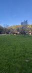 Prodej stavebn�ho pozemku Hol�tejn, okres Blansko
