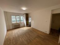 Prodej bytu 1+1, 25m2 + sklep, p��jemn� lokalita
