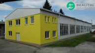 Pron�jem haly v Hradci Kr�lov�