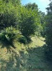 Prodej pozemku - stavebn� 893m2 P��luky u Zl�na