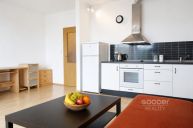 Pron�jem bytu 1+kk/B/PS, 39 m2, �itn�, Hostivice