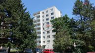Pron�jem bytu 2+1, D�lnick� n�m. T�eb��