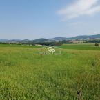Prodej zem. pozemku u obce Kraset�n - Holubov