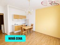 Pron�jem bytu 2+kk 45 m2 � Liberec Rochlice , ul. Halasova