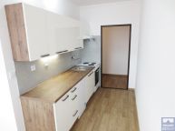 Zrekonstruovan� byt 1+1 v centru P�e�tic