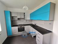 Pron�jem bytu 3+kk 67 m2, Skute�