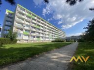 Pron�jem bytu 1+kk, 22 m2 s lod�i�, Hradec Kr�lov� - ul. Bro��kova.