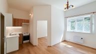 Pron�jem neza��zen�ho bytu 2+kk 36m2, p��zem�, v�hled do zahrady, Zavadilova ulice, Praha 6, Dejvice