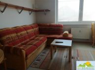 Pron�jem zd�n�ho  bytu 2+kk , 39m2  s gar�ov�m st�n�m v ulici Holubova, Pardubice