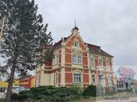 Pron�jem bytu 1+1 v �esk� L�p�, Dubice.