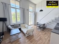 Pron�jem bytu 1+kk 45 m2 s kr�snou terasou o plo�e , Opava