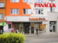 Pron�jem 1+kk Zl�n