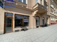 Pron�jem obchodn�ch prostor Opava, Olomouck� ul.
