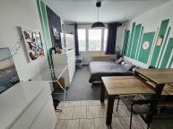 Pron�jem kr�sn�ho bytu s v�hledem na Prahu, 1+kk, Praha 4