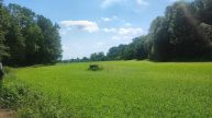 Prodej pozemk�-zahrad, ve Vy�kov�