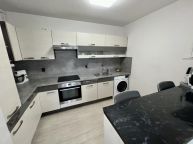 Prodej byt 2+kk, 48m and sup2;, Ji��ho Herolda, Ostrava - B�lsk� Les