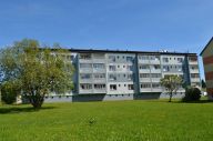 Prodej, cihlov�ho bytu 3+1, 69 m2, Kr�l�ky