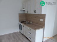Pron�jem bytu 2kk, 40m2, ul.F.Mal�ka, Most