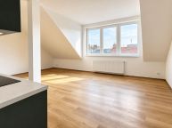 Pron�jem nov�ho 2kk, p�dn� n�stavba, klimatizace, v�tah.
