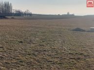 Prodej stavebn�ho pozemku k bydlen�  v obci Doma�ov u �ternberka