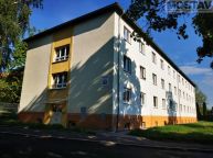 Pronjem bytu 1+1, 30 m2, ul. J. Dobrovskho, Most