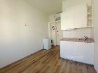 Pronjem bytu 1+kk, 15 m2, Praha 3 - ikov, ul. Jeseniova.